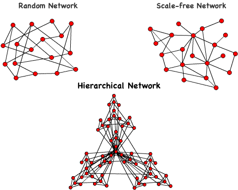 network_types