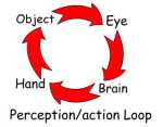 perception feedback loop